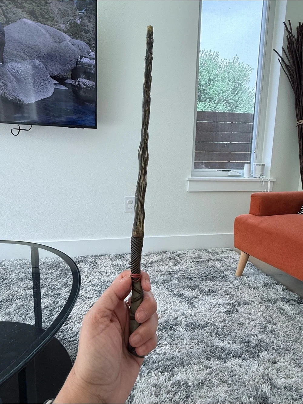 Harry Potter Ollivanders wand with case